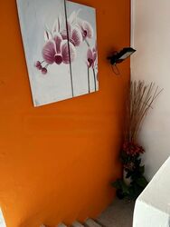 Race Course Rd/Owen Road Conservation Area (D8), Terrace #473798131